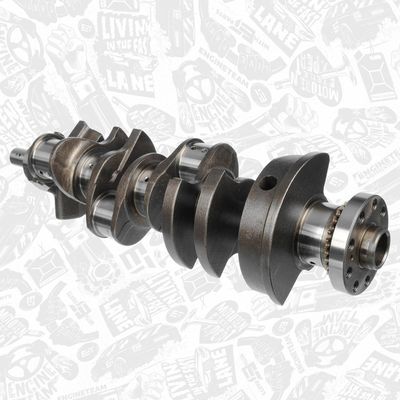 ARBORE COTIT ET ENGINETEAM HK0218 1