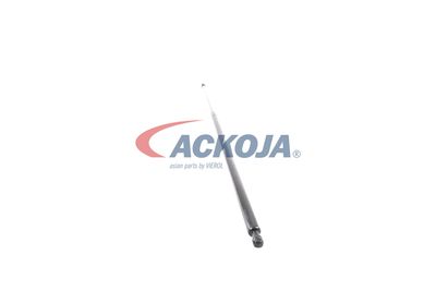 AMORTIZOR PORTBAGAJ ACKOJA A380069 48