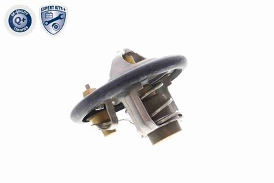 TERMOSTAT LICHID RACIRE ACKOJA A53990008 7