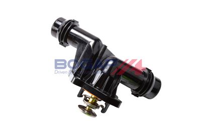 TERMOSTAT LICHID RACIRE