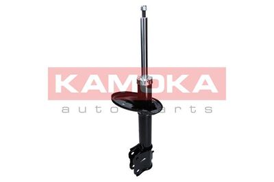 Shock Absorber 2000302