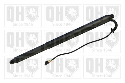 MOTOR ELECTRIC HAION