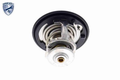 TERMOSTAT LICHID RACIRE ACKOJA A26990007 9