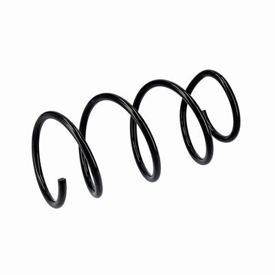 ARC SPIRAL EIBACH R10875 17