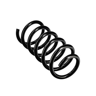 ARC SPIRAL EIBACH R10978 23