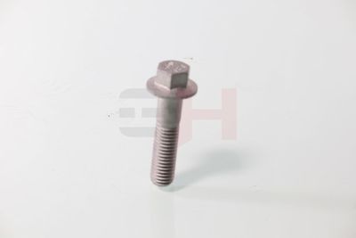 SURUB CAPAT DE AX GH GH392549 25