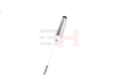 AMORTIZOR GH GH333673 16