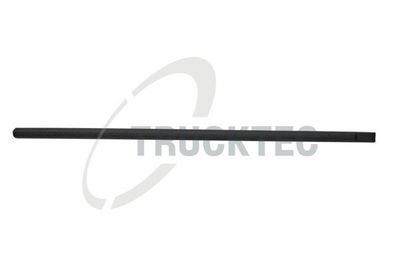 ELEMENTE DECORATIVE/PROTECTIE PORTIERA