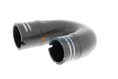 FURTUN EAR SUPRAALIMENTARE VAICO V240804 18