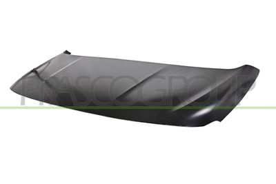 MOTORHAUBE PRASCO PG9133130