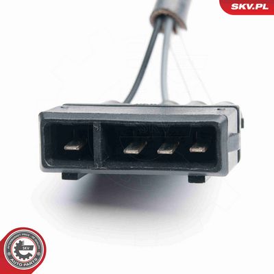 SONDA LAMBDA ESEN SKV 09SKV589 3