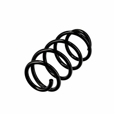 ARC SPIRAL EIBACH R10582 3