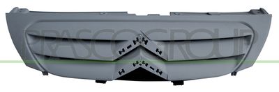 PRASCO CI3222001 Решетка радиатора  для CITROËN C3 (Ситроен К3)