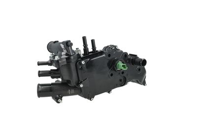 TERMOSTAT LICHID RACIRE NRF 725365 24