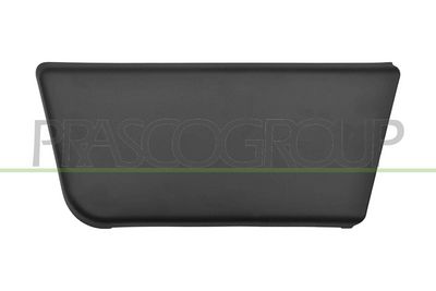 ELEMENTE DECORATIVE/PROTECTIE PORTIERA