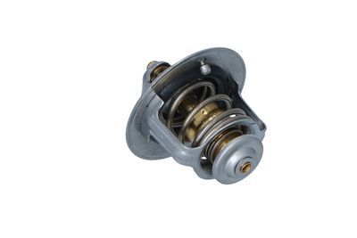 TERMOSTAT LICHID RACIRE NRF 725233 19