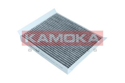 Filter, cabin air F504501