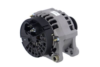 GENERATOR / ALTERNATOR REMANTE 011003000013R 36
