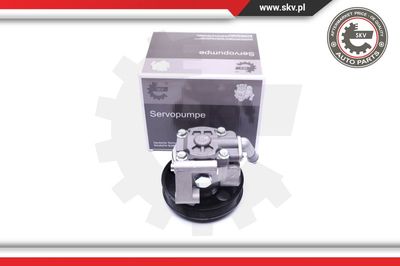 Гидравлический насос, рулевое управление ESEN SKV 10SKV038 для LAND ROVER FREELANDER