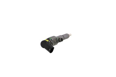 INJECTOR REMANTE 002003000083R 29