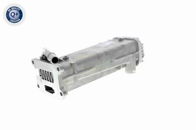 AGR-VENTIL VEMO V95630011 5