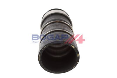FURTUN EAR SUPRAALIMENTARE BOGAP B1711146 3