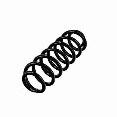 ARC SPIRAL EIBACH R10862 3