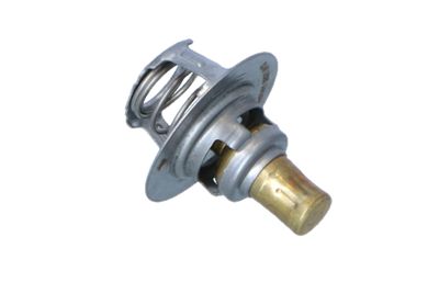 TERMOSTAT LICHID RACIRE NRF 725141 9