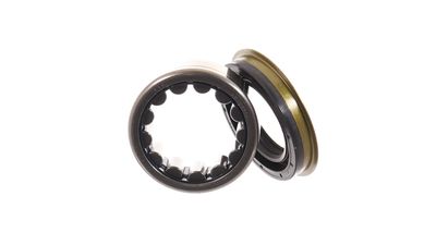 SET RULMENT ROATA SKF VKBA6681 36