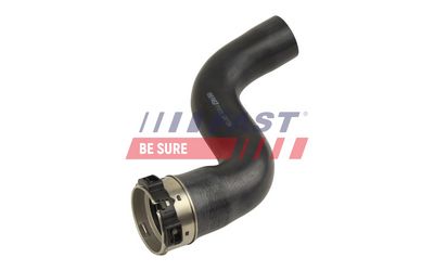 FURTUN EAR SUPRAALIMENTARE