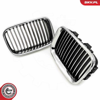 GRILA RADIATOR ESEN SKV 66SKV044 3