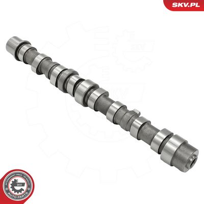 Vačkový hřídel ESEN SKV 80SKV066