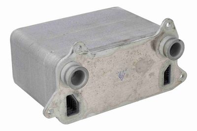 Motorradiator