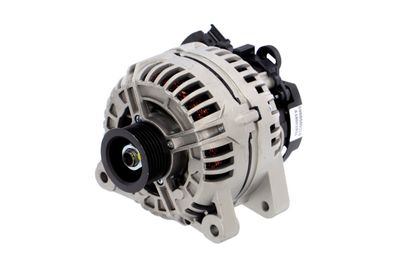 GENERATOR / ALTERNATOR REMANTE 011003000018R 65