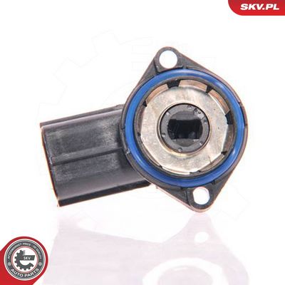 Sensor, Drosselklappenstellung