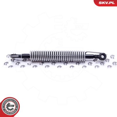 Dujinė spyruoklė, bagažinė