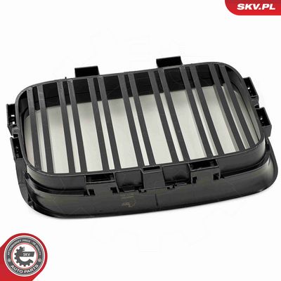 GRILA RADIATOR ESEN SKV 66SKV047 5