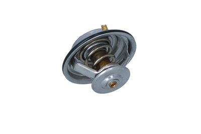 TERMOSTAT LICHID RACIRE NRF 725075 24