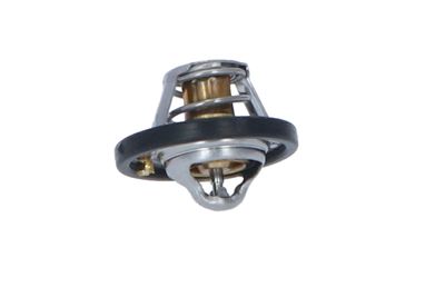 TERMOSTAT LICHID RACIRE NRF 725187 16