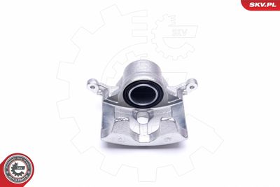 Brake Caliper 45SKV011