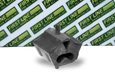 окачване, двигател FIRST LINE FEM3153