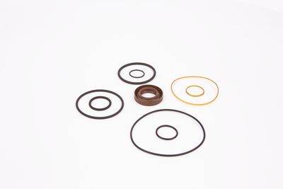 SET DE GARNITURI POMPA HIDRAULICA BOSCH 3083698001 15