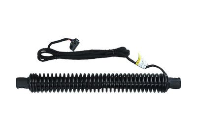 Galinių durų elektros variklis