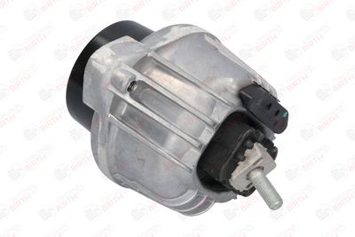 SUPORT MOTOR BIRTH 53350 12