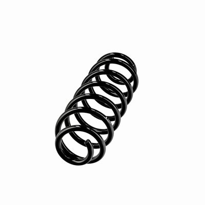 ARC SPIRAL EIBACH R10795 2