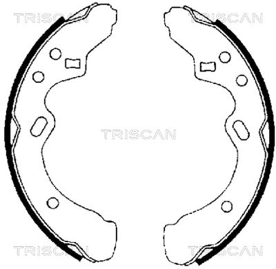 Sada brzdových čelistí TRISCAN 8100 50438