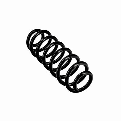 ARC SPIRAL EIBACH R10862 11