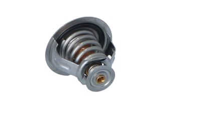 TERMOSTAT LICHID RACIRE NRF 725209 24