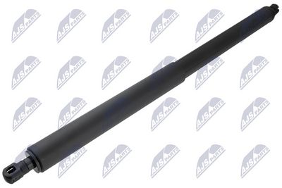 Dujinė spyruoklė, bagažinė