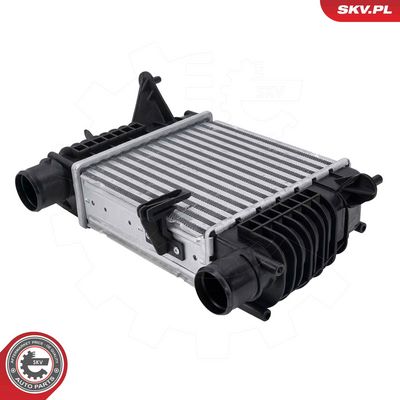 INTERCOOLER COMPRESOR ESEN SKV 98SKV130 1